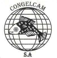 congelcam.jpg